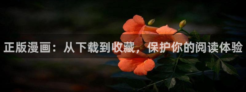 哔咔漫画 (仲夏版)：正版漫画：从下载到收藏，保护你的阅读体验