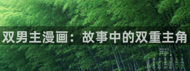 哔咔漫画官网站入口：双男主漫画：故事中的双重主角