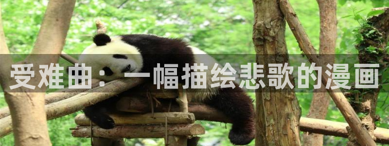 51漫画哔咔漫画：受难曲：一幅描绘悲歌的漫画