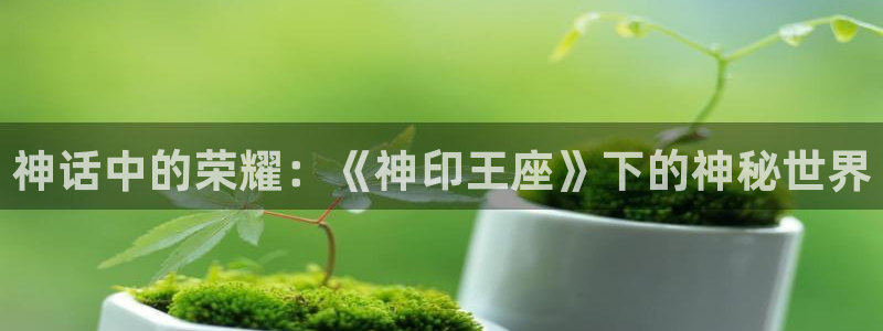 哔咔漫画怎么登录：神话中的荣耀：《神印王座》下的神秘世界