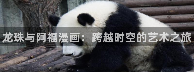 哔咔漫画在线观看免费漫画下拉式：龙珠与阿福漫画：跨越时空的艺术之旅